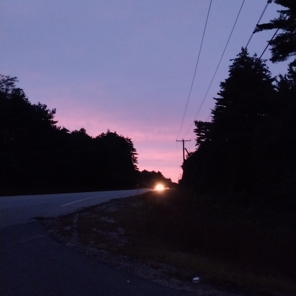 Meet your Posher, Mirabelle - Picture 1 of 1